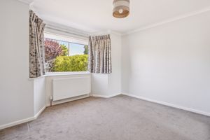 Photo 3- click for photo gallery